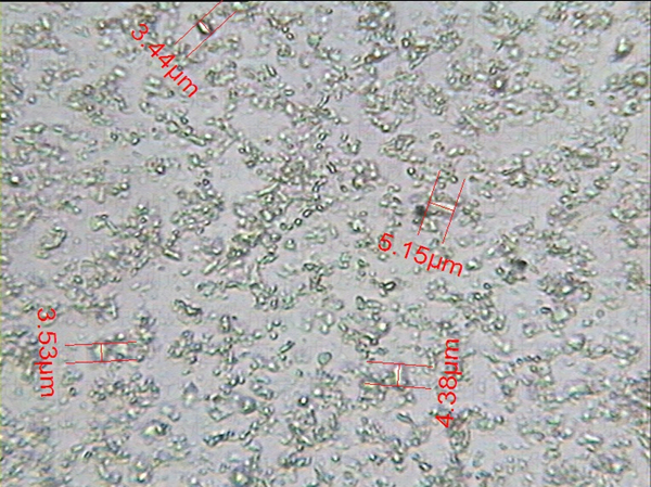 硝酸咪康唑原料微纳米粉碎加工 