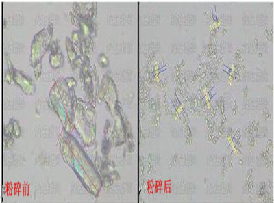 格列本脲原料微纳米粉碎加工