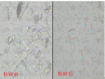 白藜芦醇原料微纳米粉碎加工